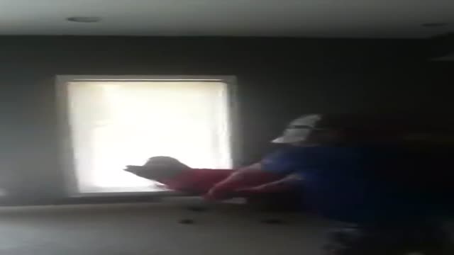 Epic Fail Butterfly Baseball Player