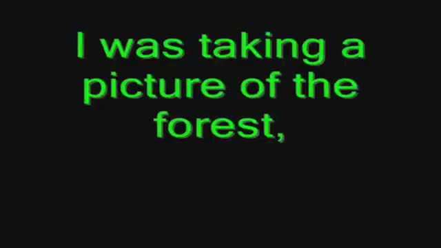 REAL ALIEN FOUND